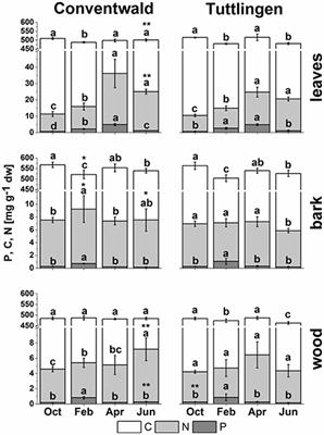 Seasonal Alterations in Organic Phosphorus Metabolism Drive the Phosphorus Economy of Annual Growth in F. sylvatica Trees on P-Impoverished Soil